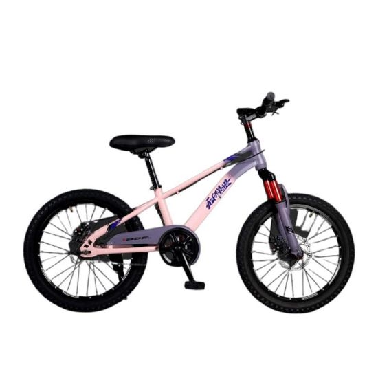 صورة دراجة هوائية جبلية مقاس 22